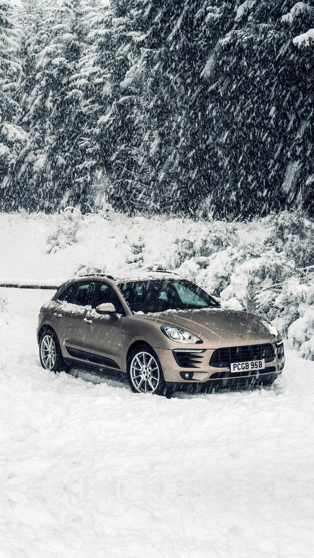 保時捷 雪地
