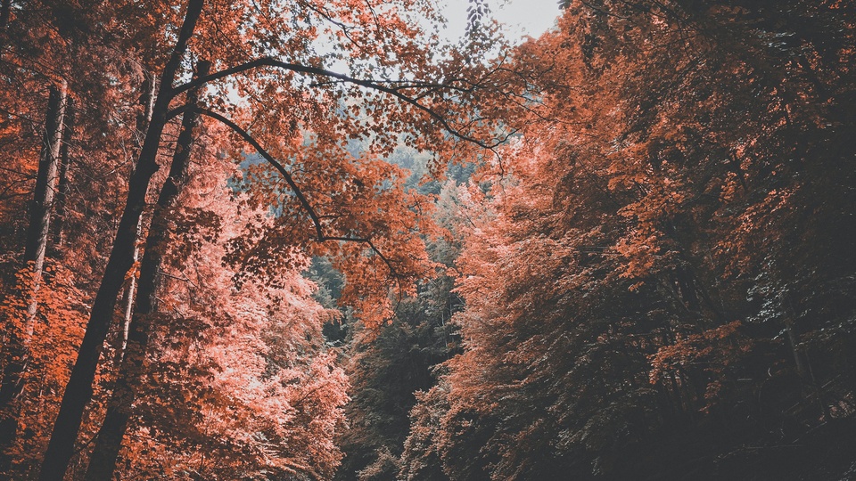 自然景觀壁紙【120】