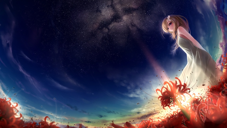 動漫 插畫 唯美 少女壁紙【123】