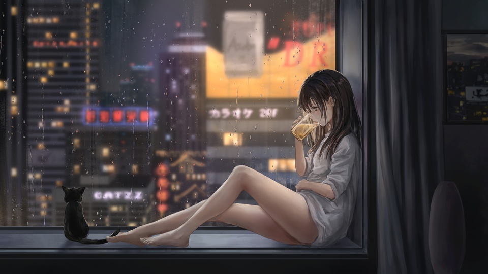 女孩喝啤酒 飄窗 城市夜景 雨天 貓 好看唯美4k動漫壁紙壁紙